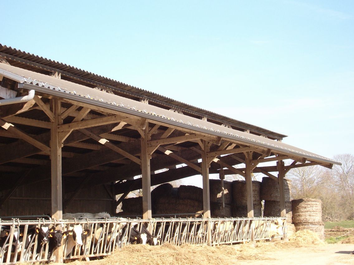 Alug Gouttières en continu en aluminium pour batiments agricole et d'élevage